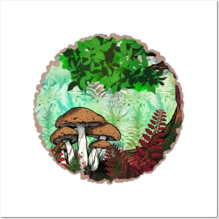 Forest Floor Posters and Art